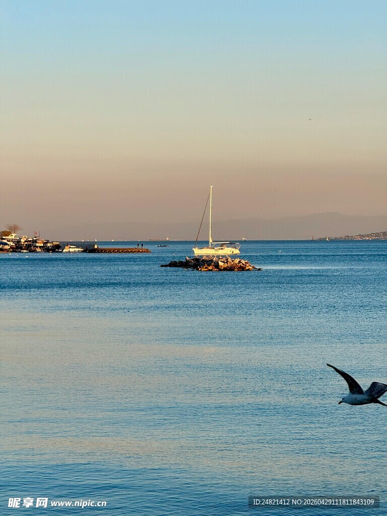 海上孤舟飞鸟宁静景致