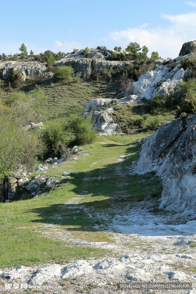 山间草地与岩石景观