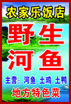 农家乐野生河鱼饭店宣传