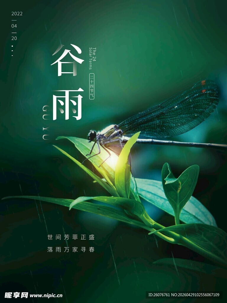 谷雨海报