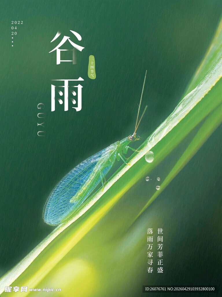 谷雨海报
