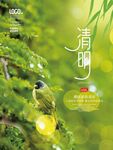 谷雨海报 