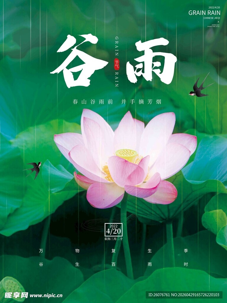 谷雨海报 
