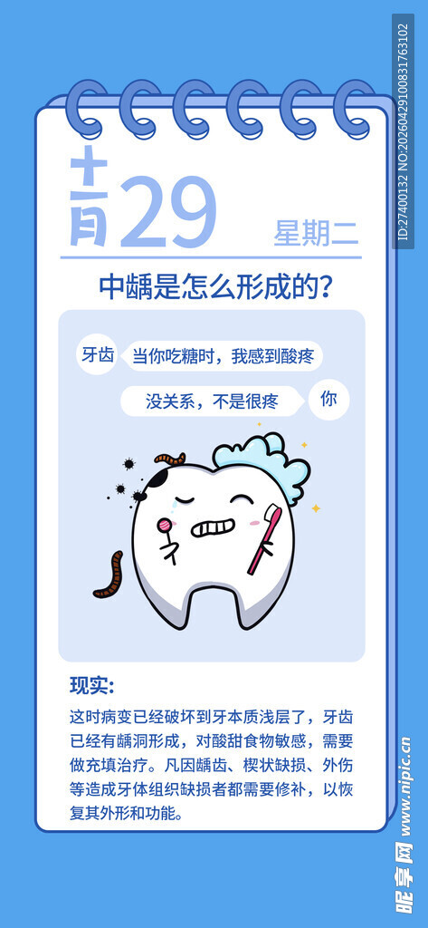29日牙科日程安排日历