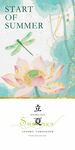 二十四节气 立夏海报