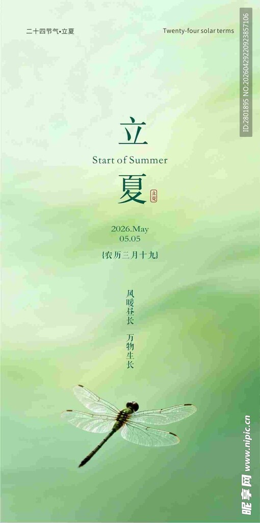 二十四节气 立夏海报