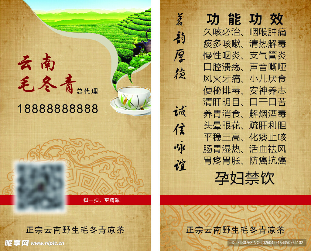 毛冬青凉茶