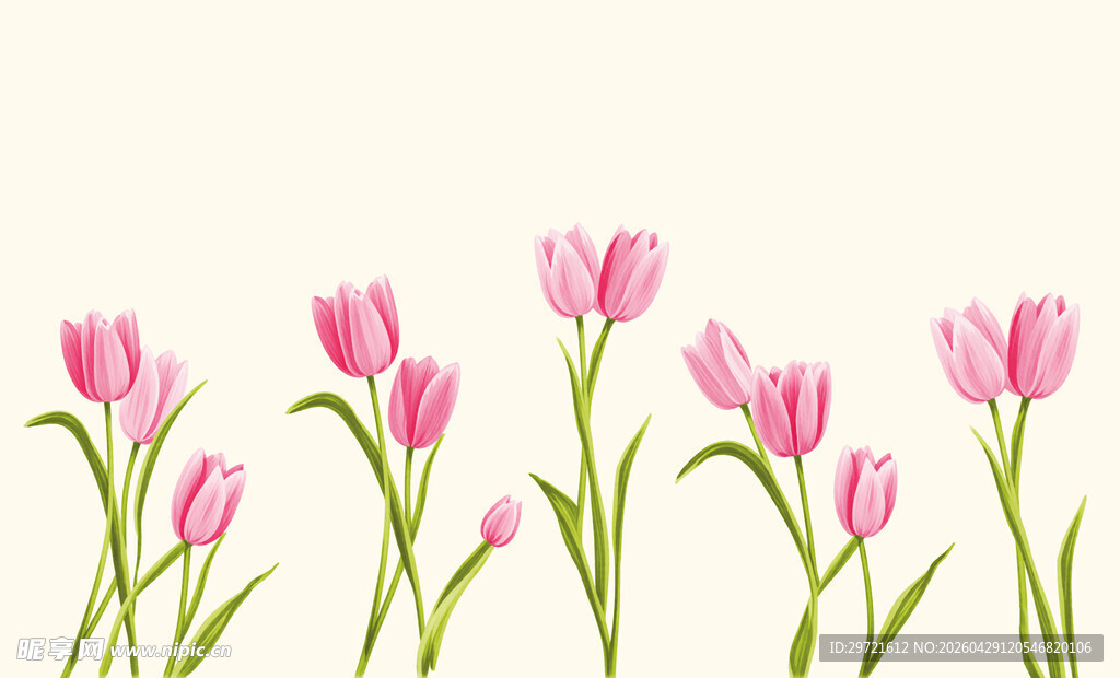 粉色郁金香花卉插画