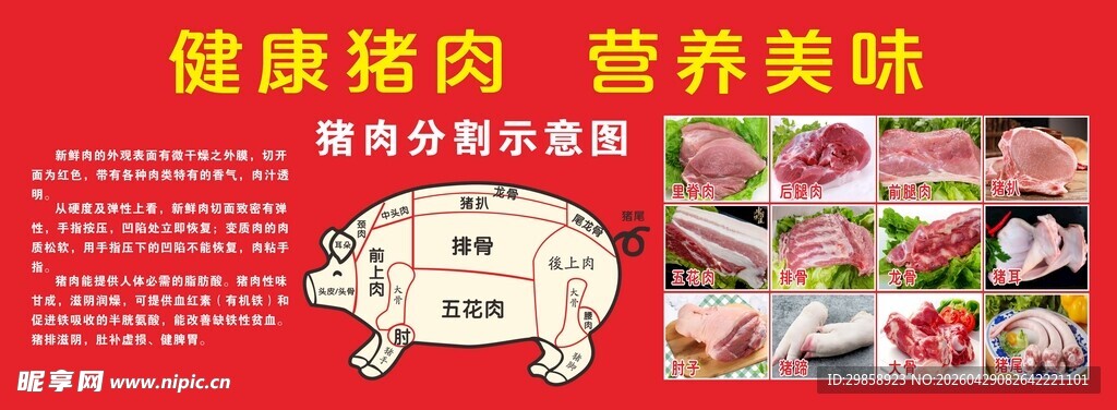 健康猪肉   猪肉分割图