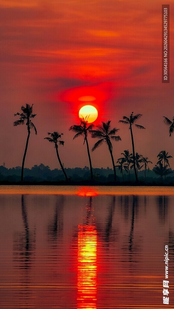 夕阳下的椰林湖畔美景