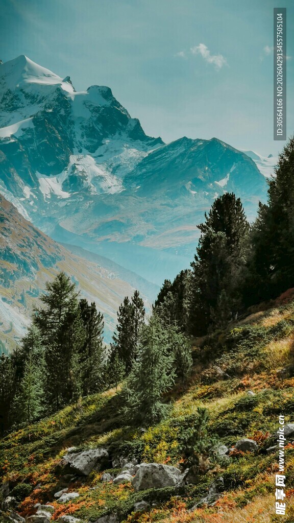 山间美景葱郁林木伴远山