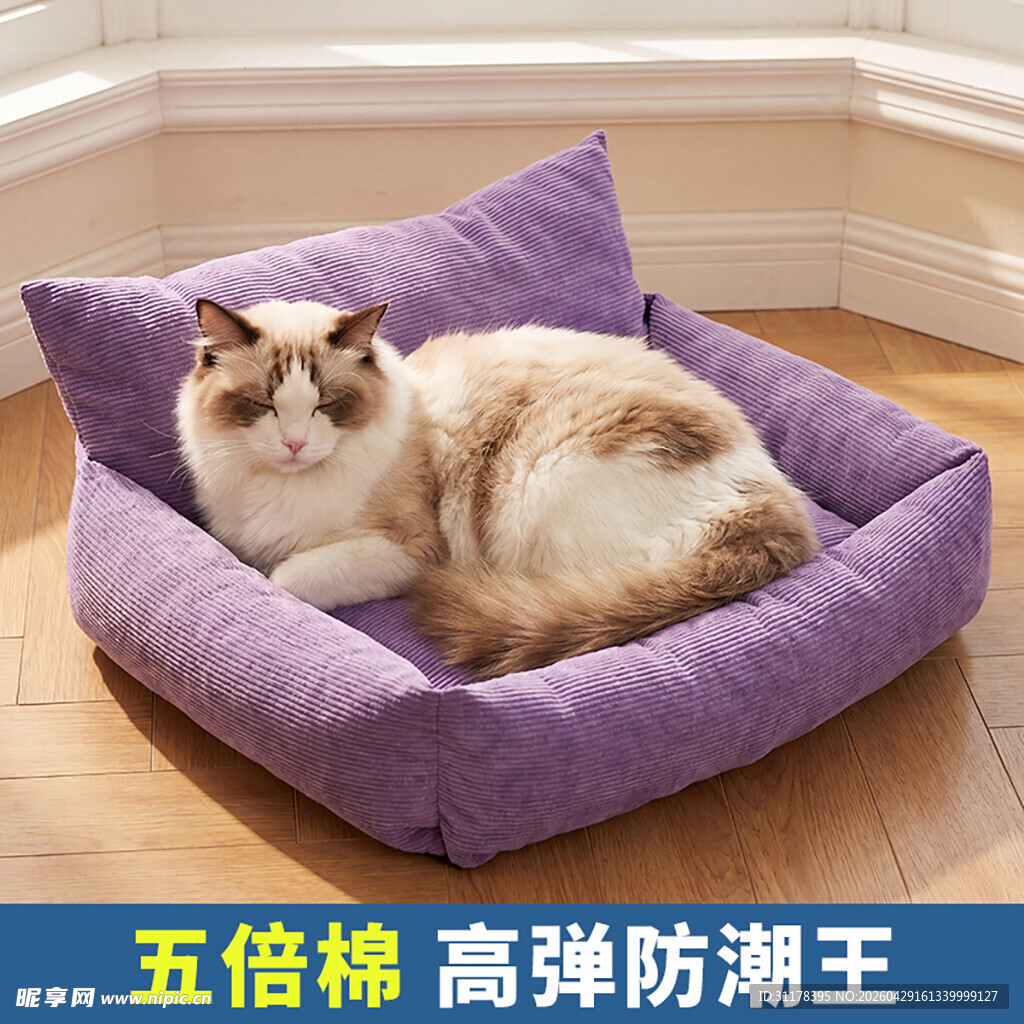 猫咪惬意躺卧紫色宠物窝主图