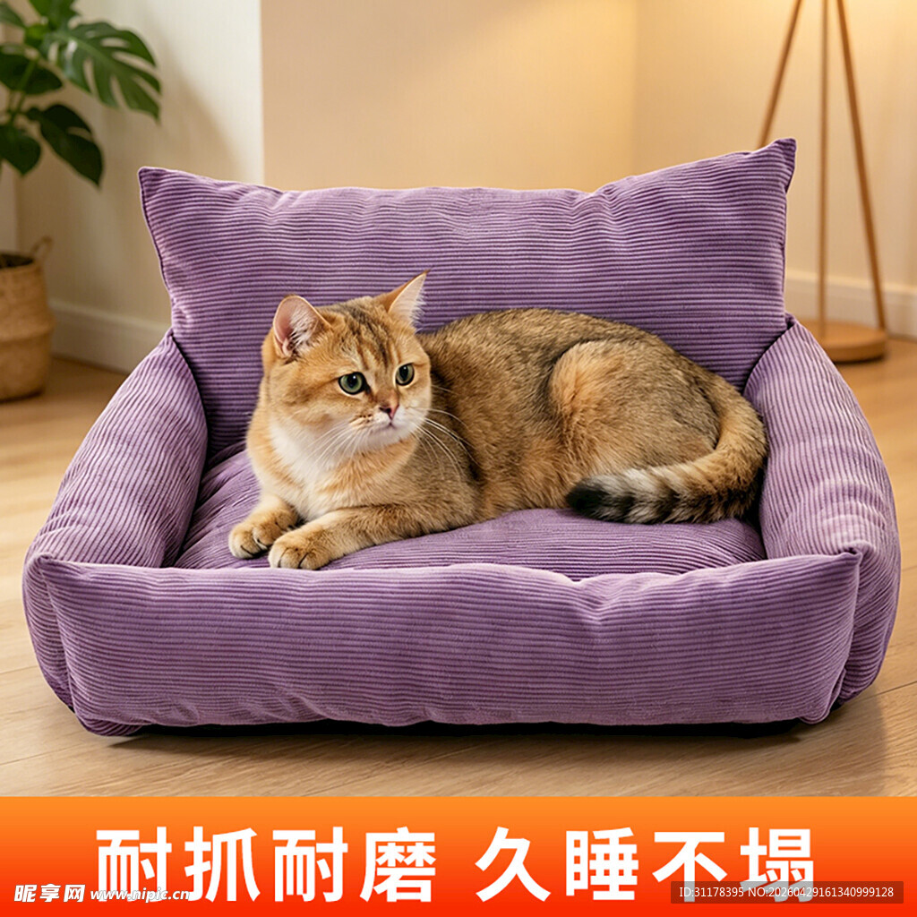猫窝电商主图设计