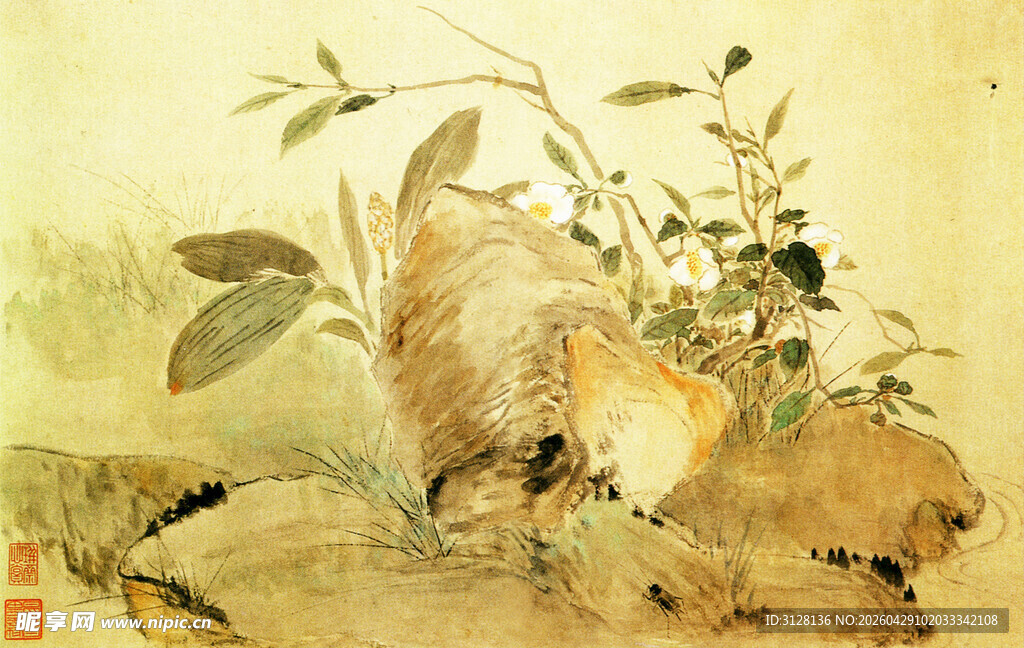 花卉 奇石