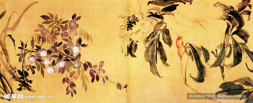 花卉图