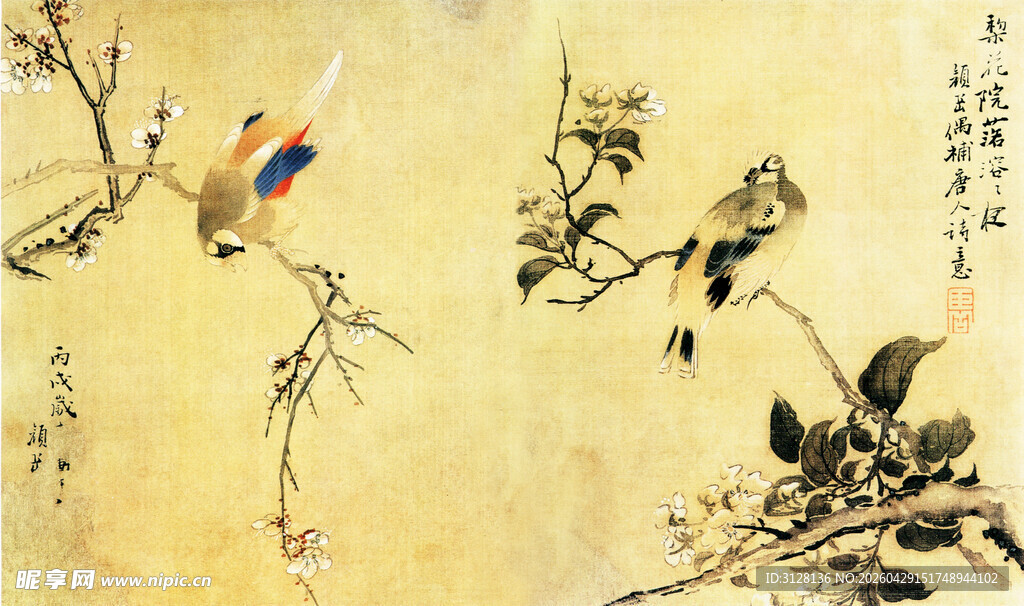 梅花鹦鹉图
