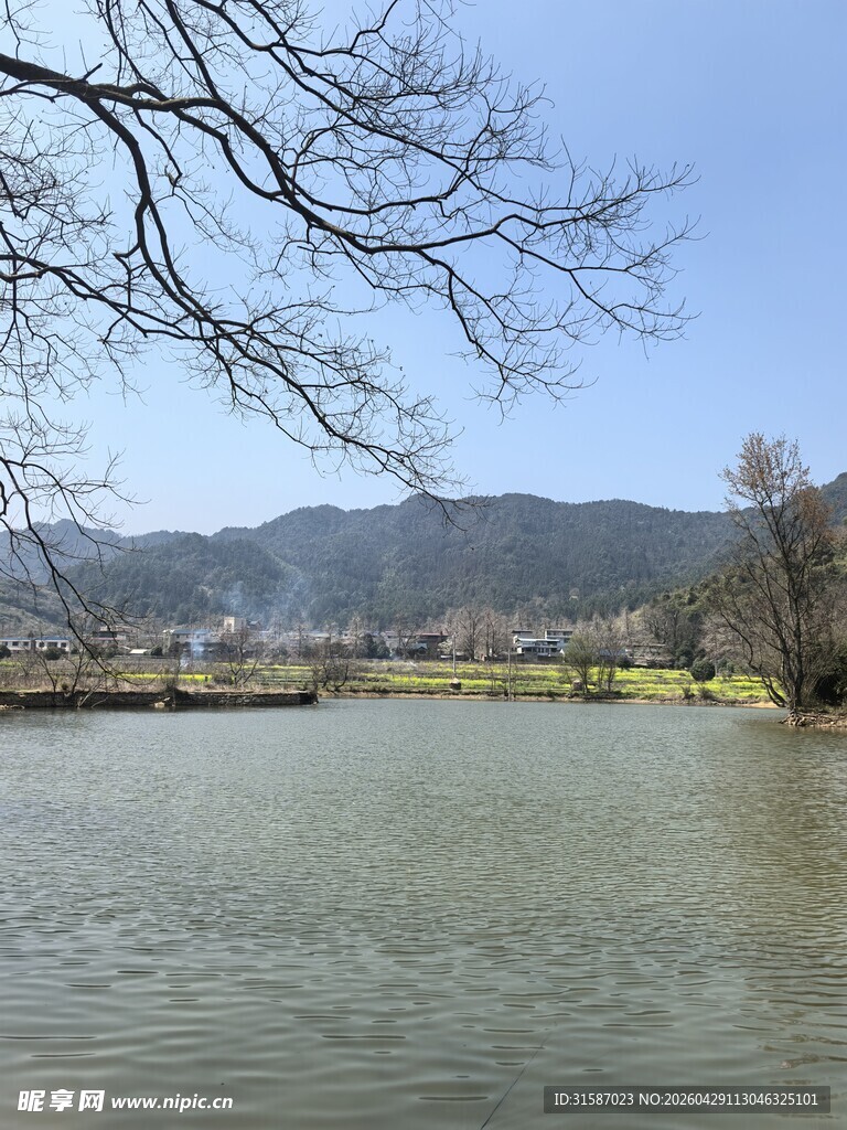 宁静湖畔风光