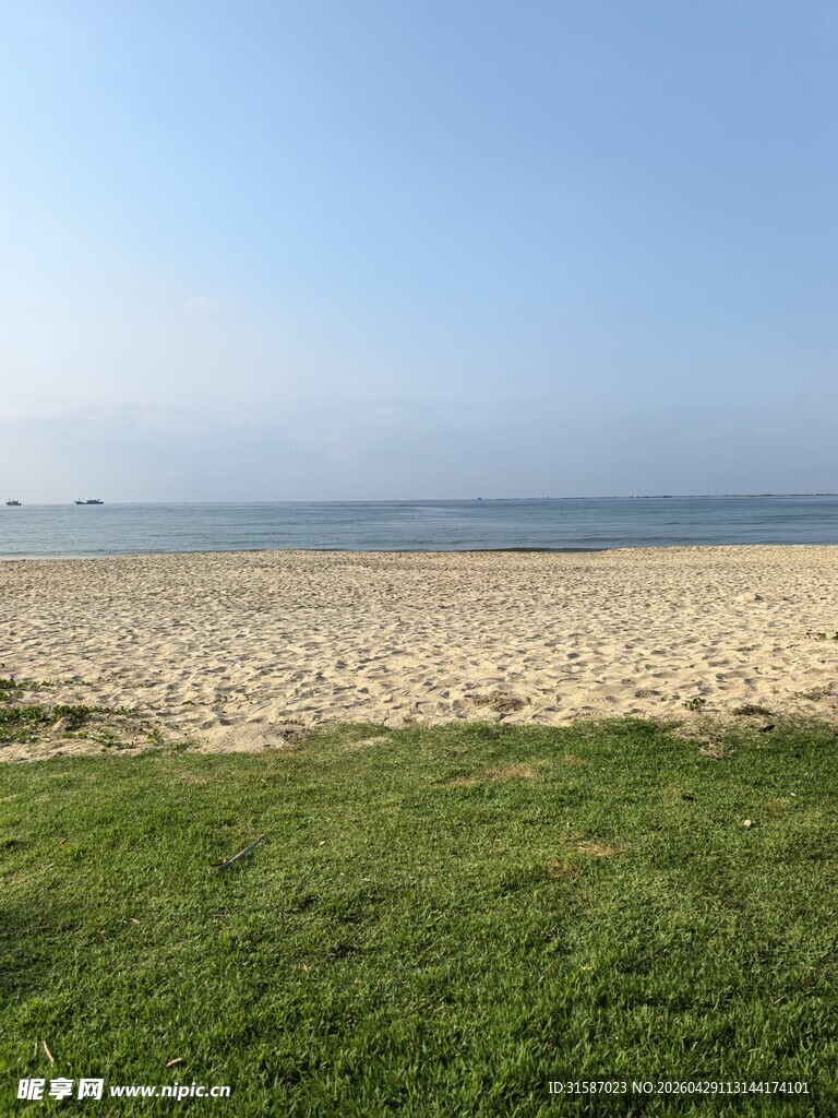 海边草地风景