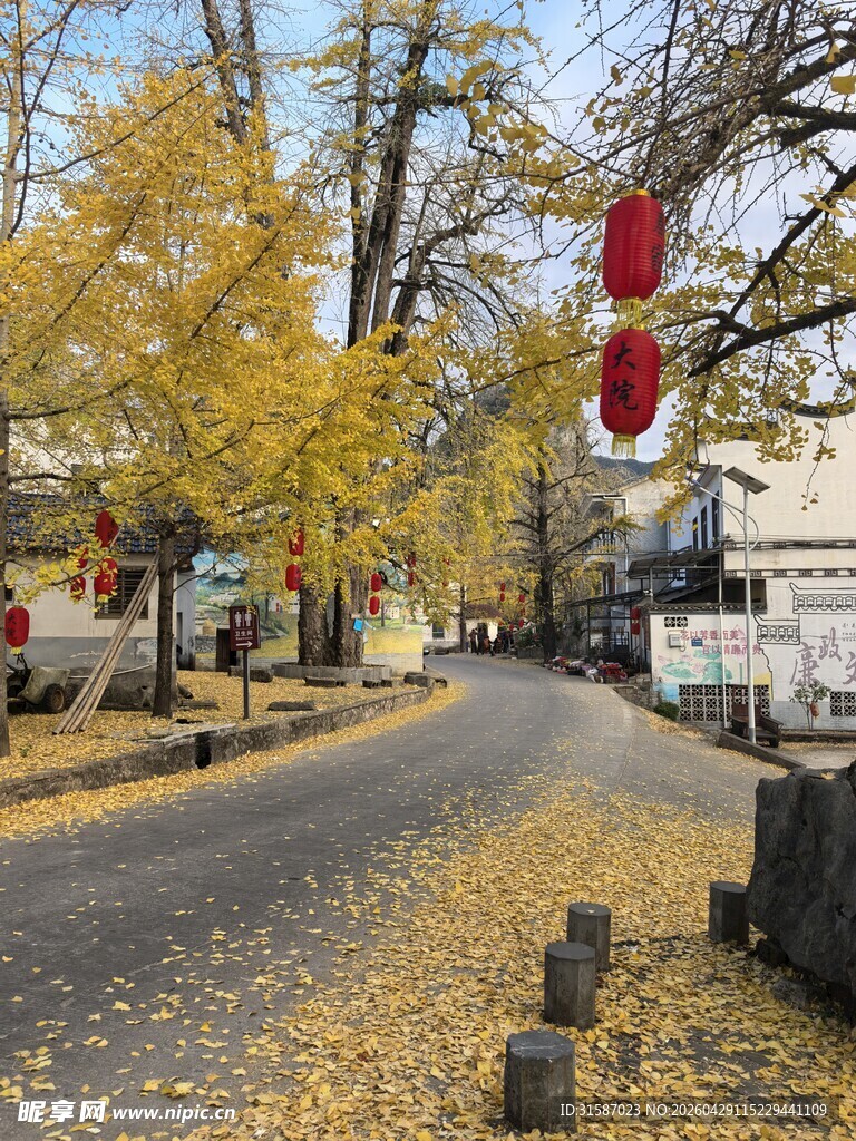 秋日街道挂红灯笼美景