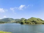 南山牧场