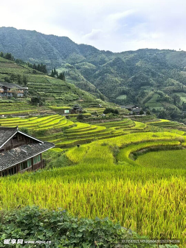龙胜马海梯田