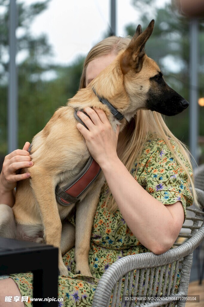 人与爱犬温馨相拥时刻