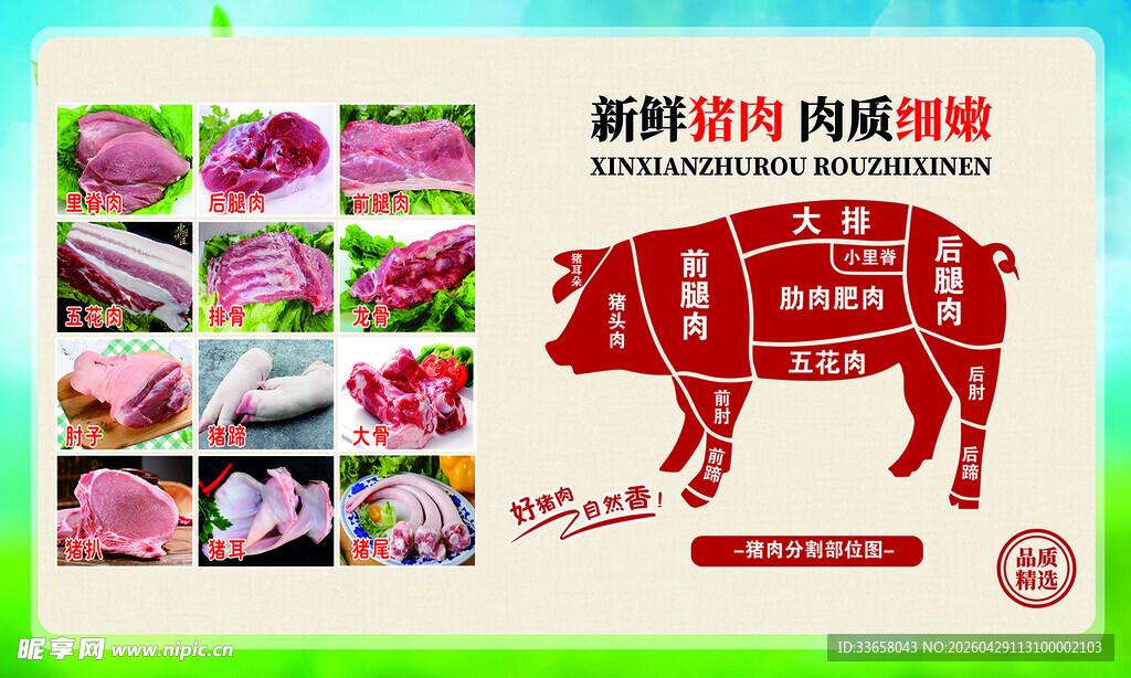 猪肉分割图