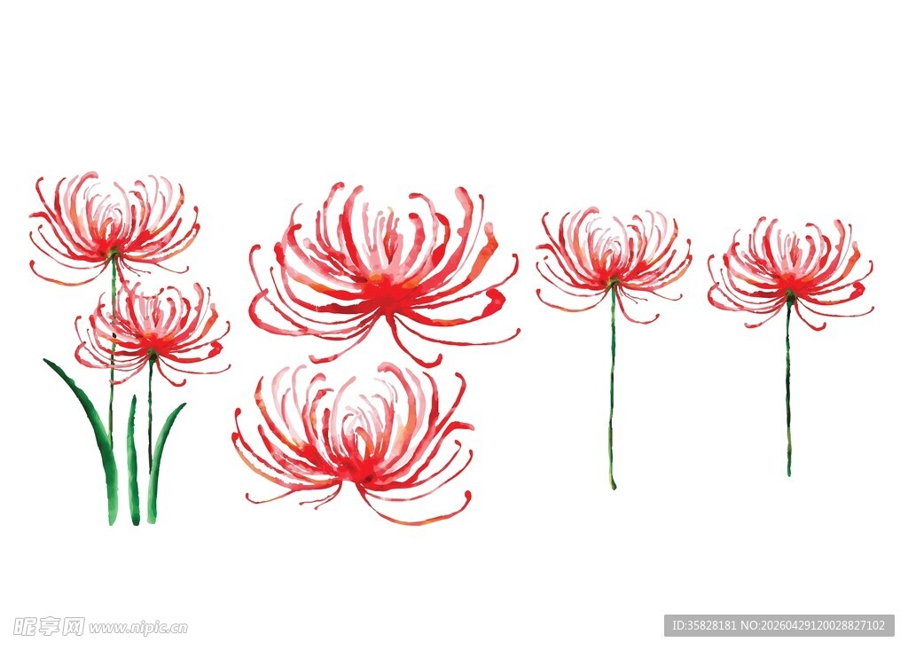 红色花卉素材
