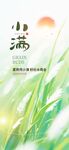 小满时节绿意盎然的田野