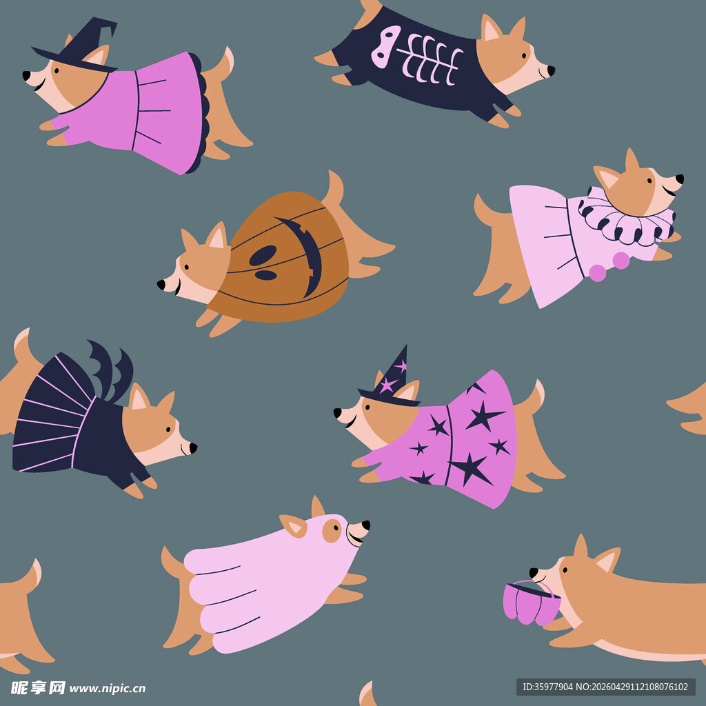 万圣节装扮的可爱柯基犬