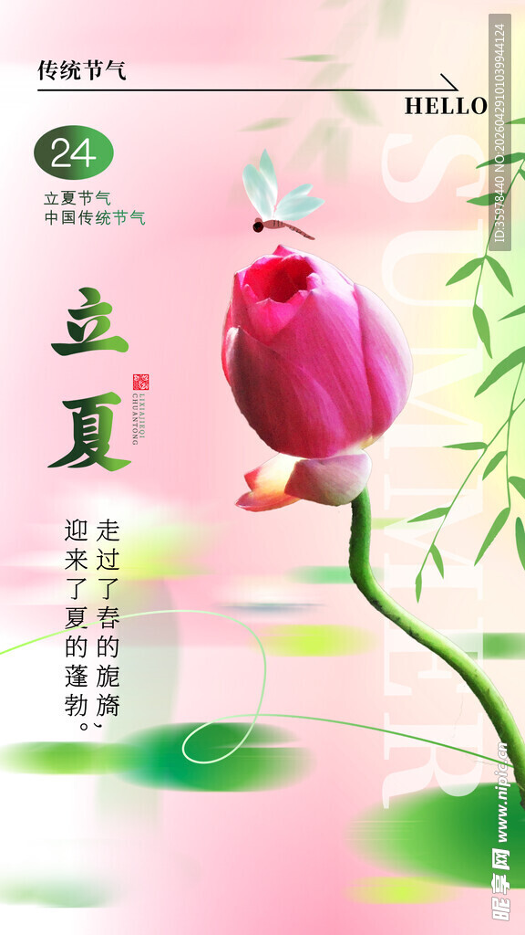 立夏海报