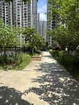 小区内的林荫小道美景