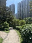 城市中的静谧园林小径