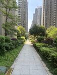 城市中的幽静绿植步道