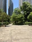 城市中的静谧绿化广场