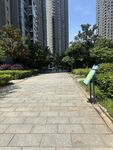 城市中宁静的林荫步道
