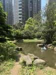城市中的静谧溪边景致