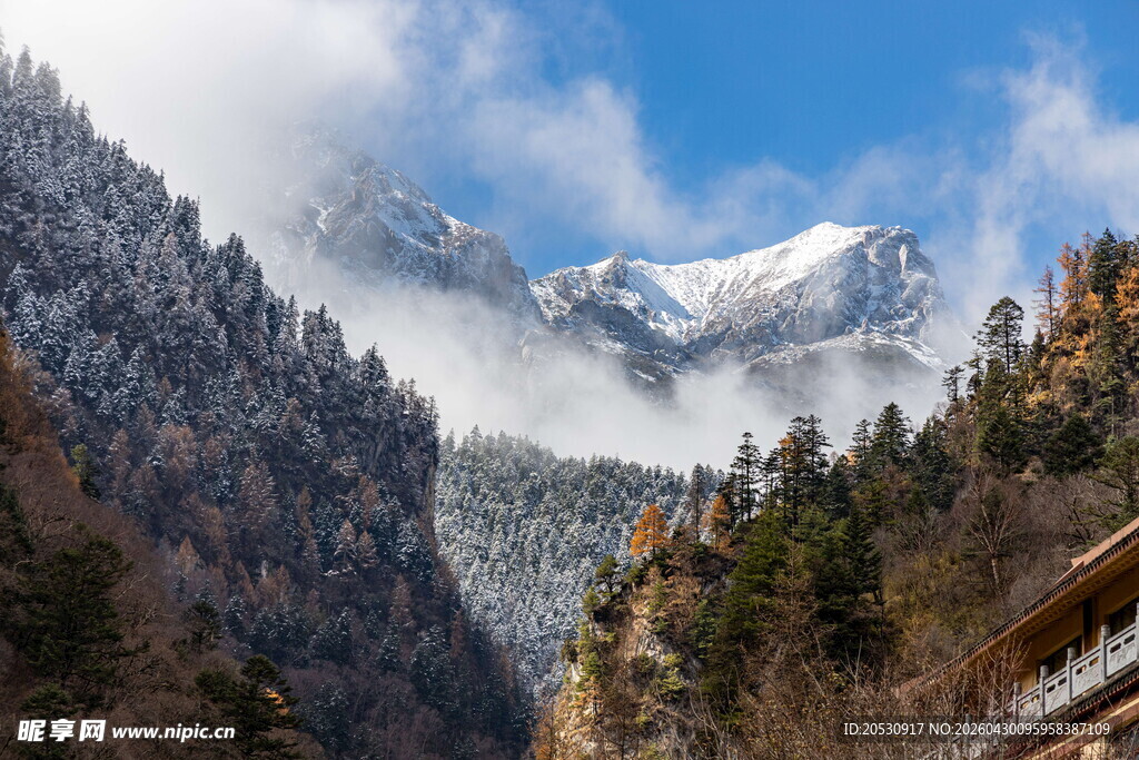 甘肃陇南官娥沟雪山