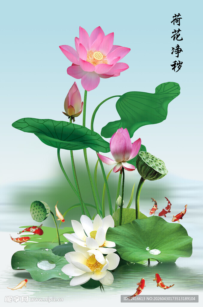 荷花净秽锦鲤图墙贴