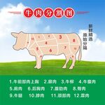 牛肉分割图