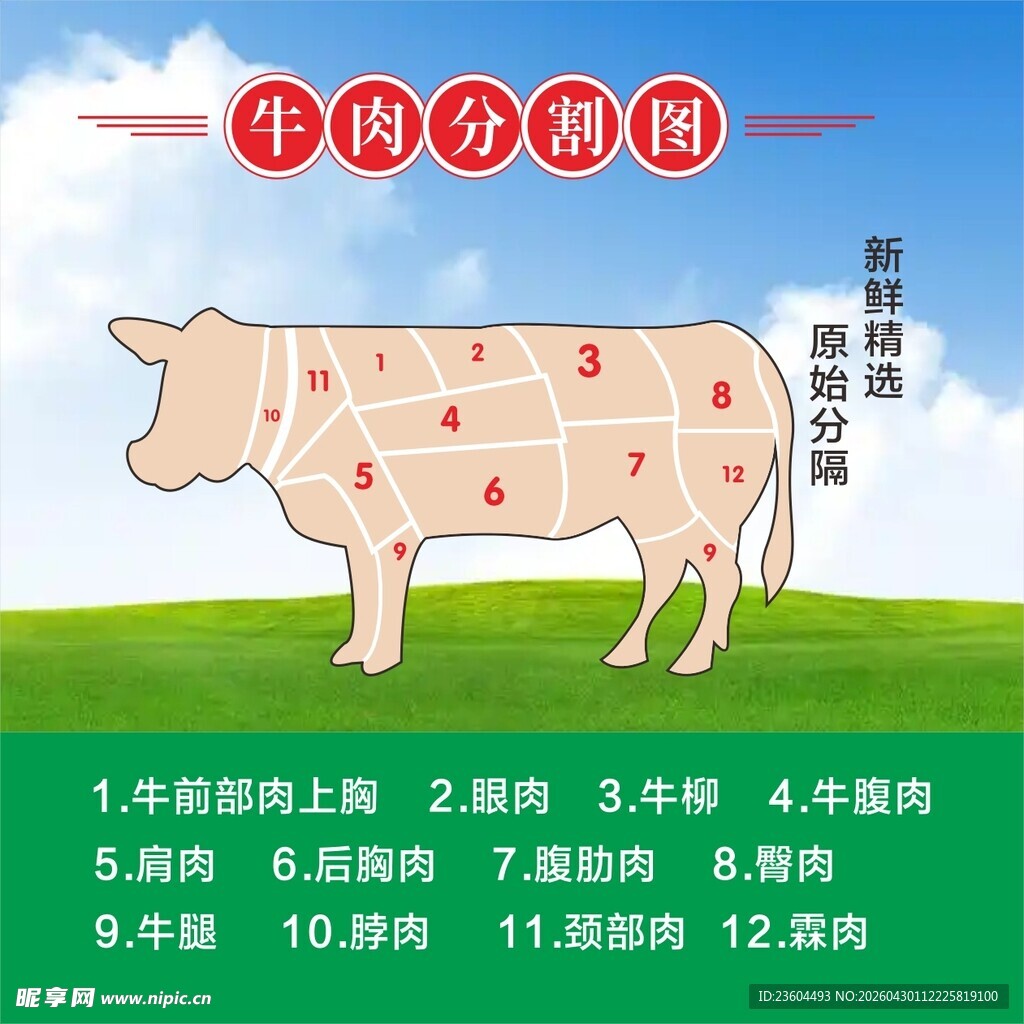 牛肉分割图