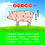 猪肉分割图