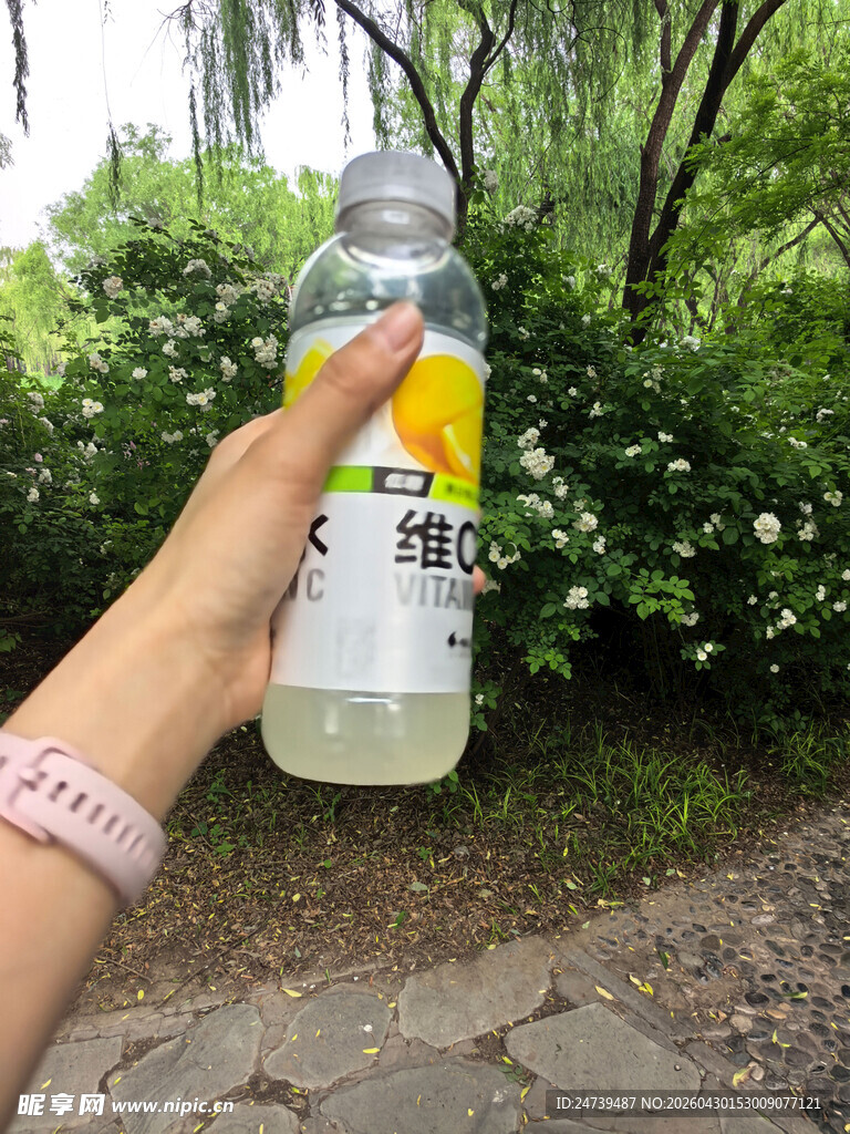 北京海淀公园的花奔展