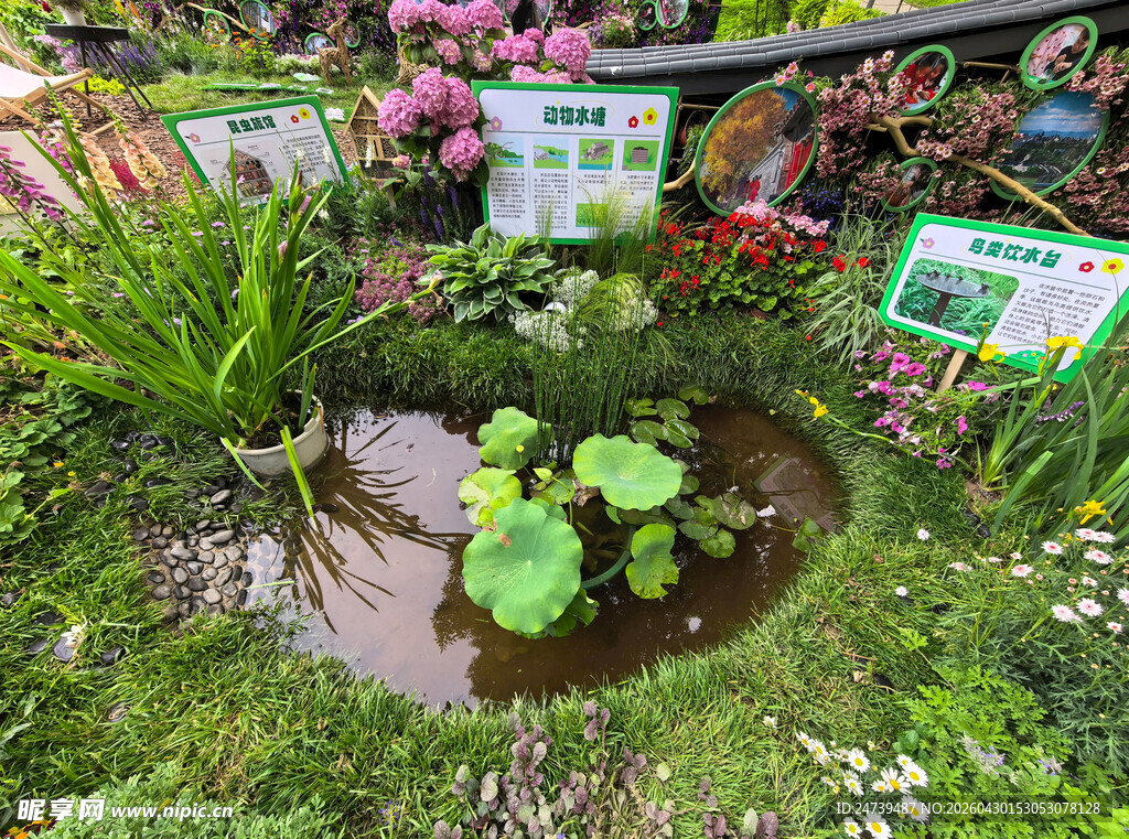 北京海淀公园的花奔展