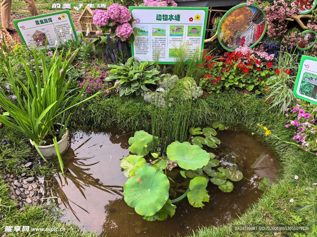 北京海淀公园的花奔展