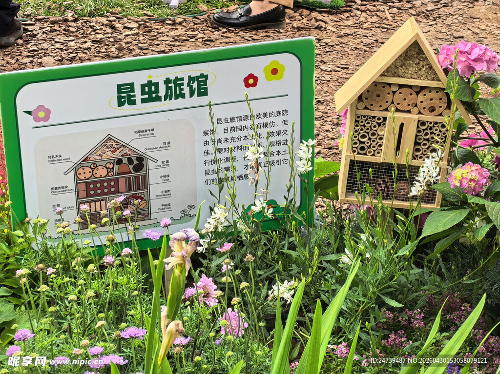 北京海淀公园的花奔展