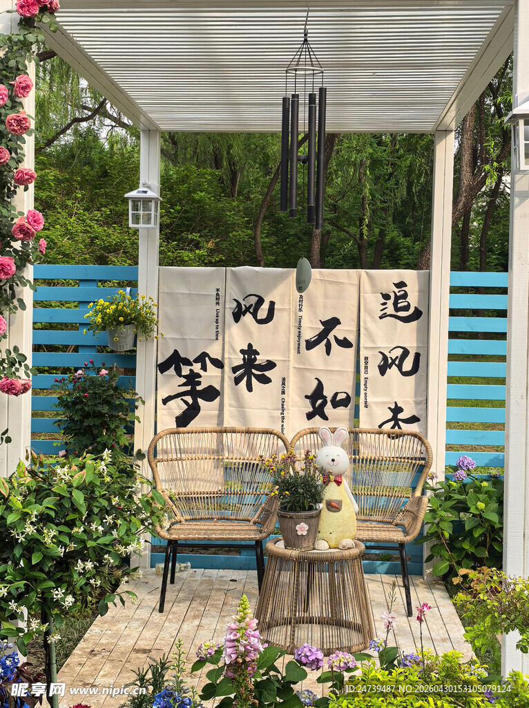 北京海淀公园的花奔展