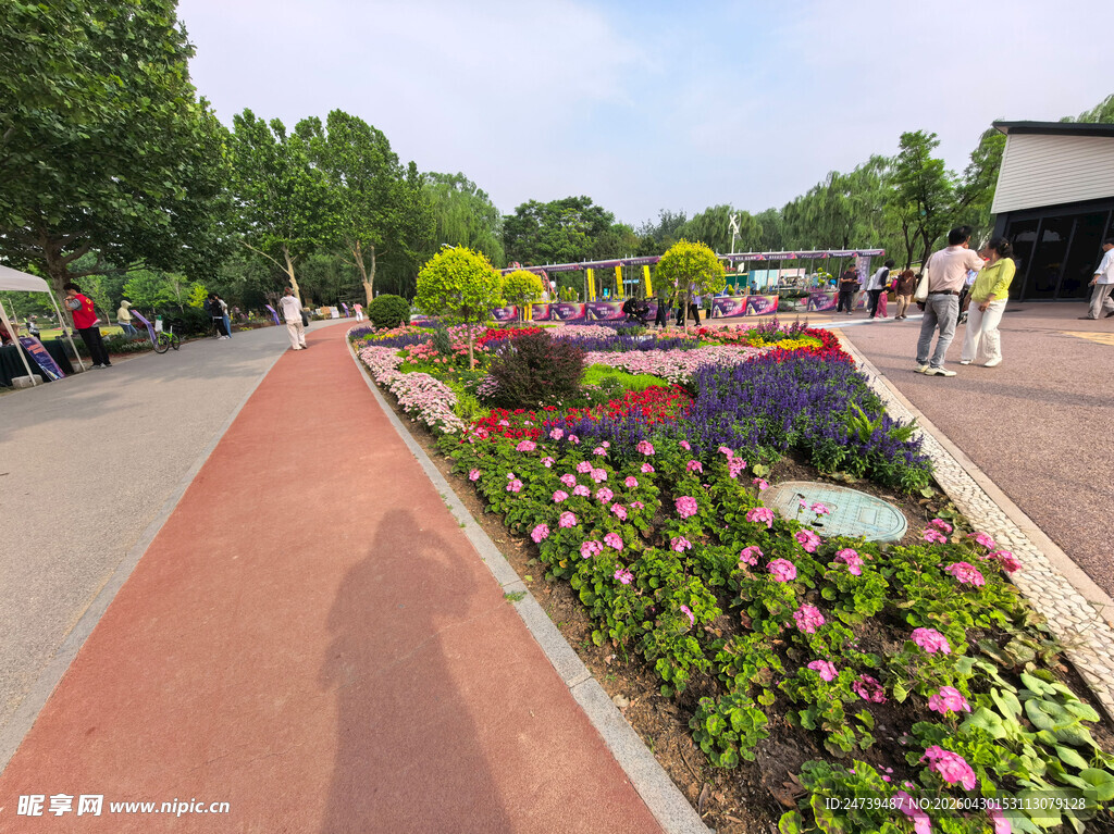 北京海淀公园的花奔展