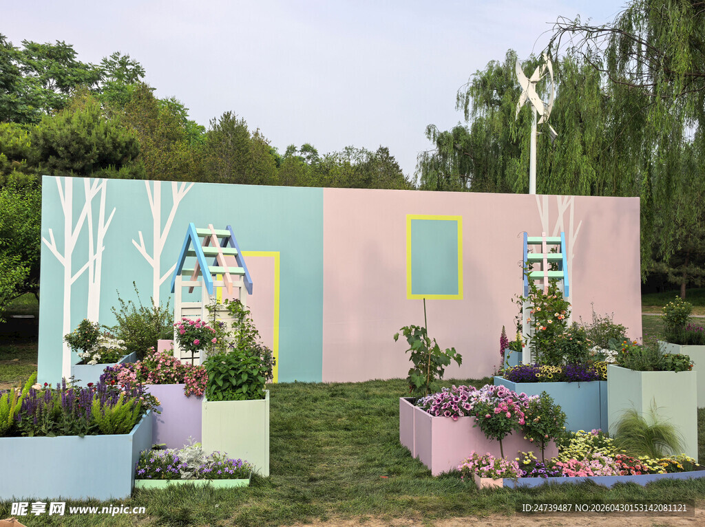 北京海淀公园的花奔展