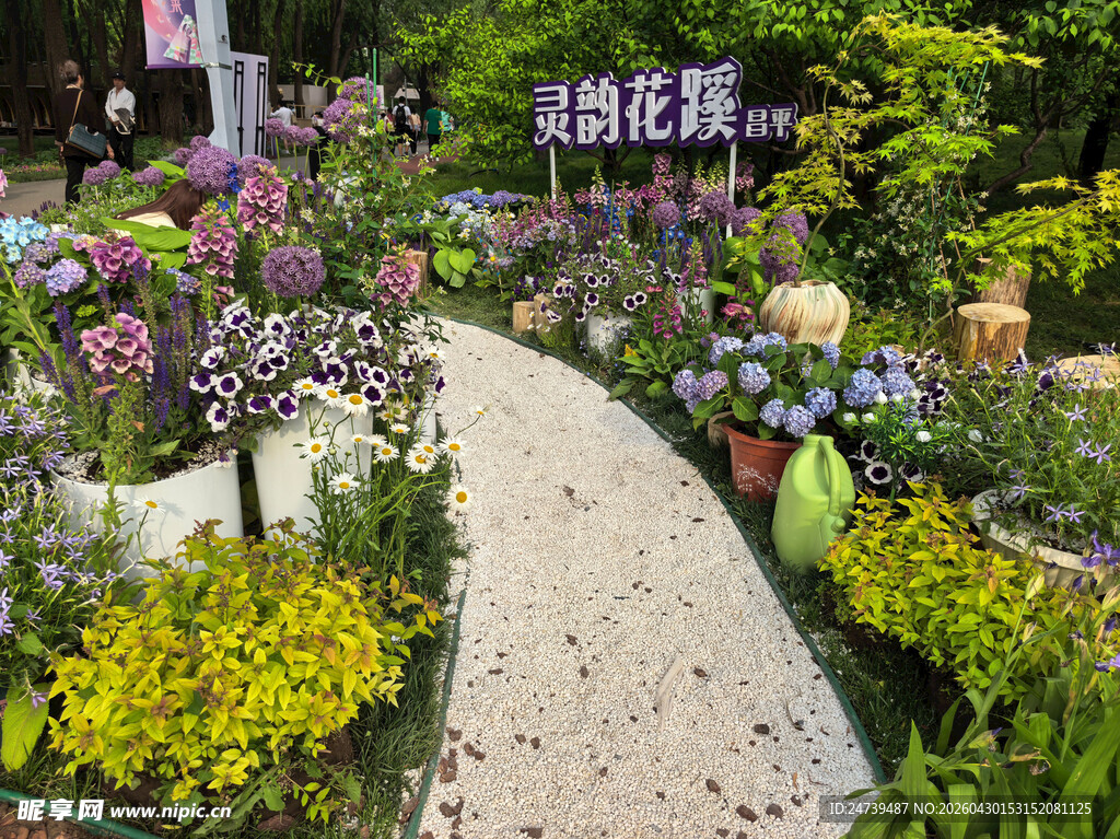 北京海淀公园的花奔展